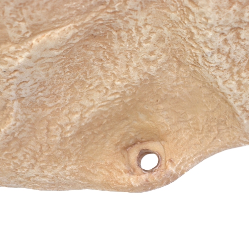 Sunnydaze Set of 2 Low-Profile Artificial Landscape Rock with Stakes - Sand