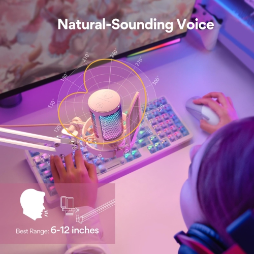 Gaming USB Microphone, Noise Cancellation Condenser mic with Mute, Gain, Monitoring, Boom Arm, Pop Filter for Streaming, Podcast, Twitch, YouTube,