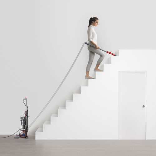 Aspirateur vertical sans sac Ball Animal 3 de Dyson - Nickel/Argenté