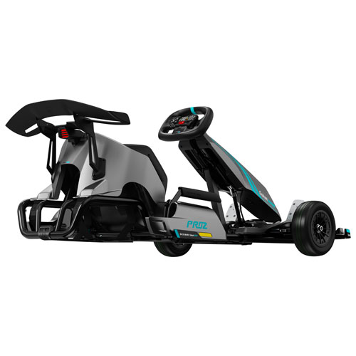 Kart électrique Gokart Pro2 de Segway - Gris foncé - Exclusivité de Best Buy
