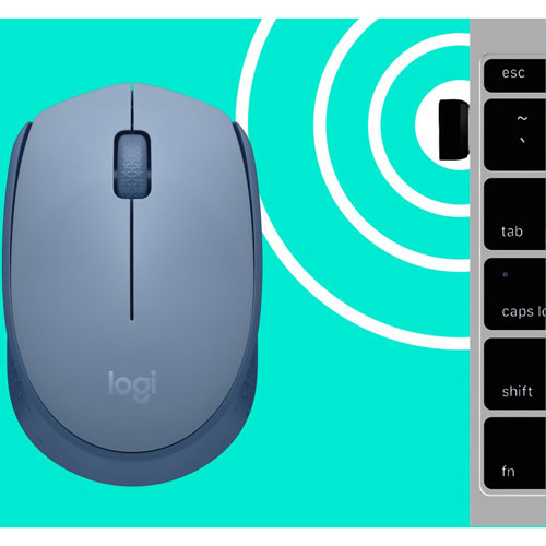 Logitech M170 Wireless Optical Mouse - Blue Grey