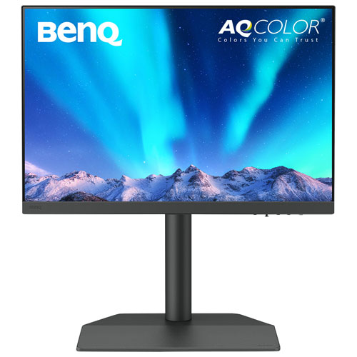 Moniteur ACL IPS WQHD 60 Hz de 24,1 po de BenQ avec temps de réponse de 5 ms gris à gris - Gris métallique