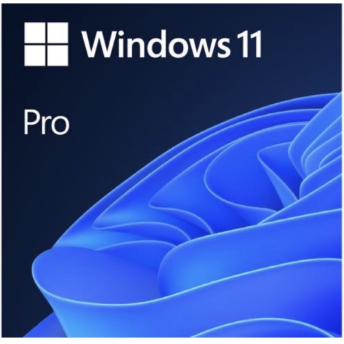 Clé de produit Windows 11 - Édition Pro