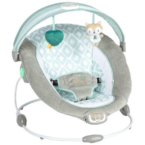 Ingenuity InLighten Bouncer - Kitt