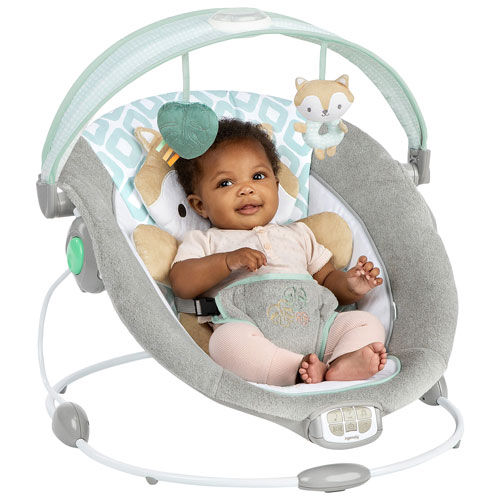 Ingenuity InLighten Bouncer - Kitt
