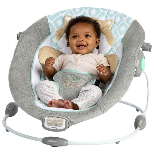 Ingenuity InLighten Bouncer - Kitt