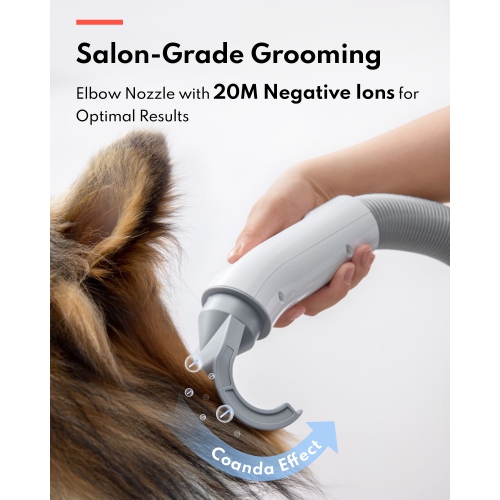 Sèche-cheveux ultra-silencieux pour chien de HomeRunPet