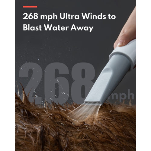 Sèche-cheveux ultra-silencieux pour chien de HomeRunPet