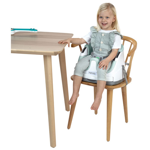 Ingenuity Baby Base 2-in-1 Booster Seat with Tray - Mist/White