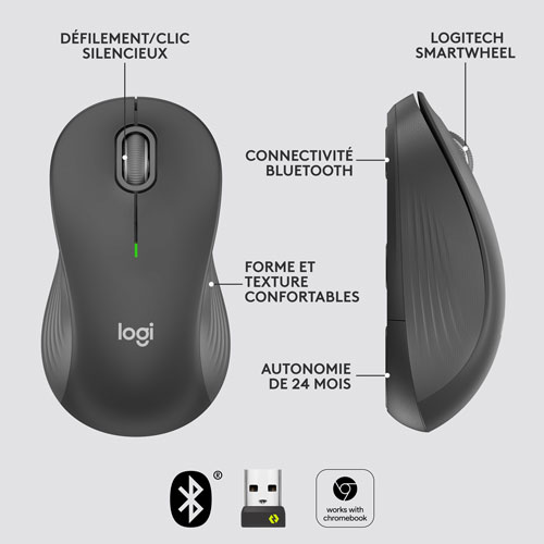 Souris optique sans fil Signature M550 L de Logitech - Graphite