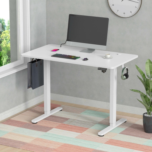 Height Adjustable Sit Stand Desk , 43" X 24" Electric Standing Desk Computer Desk with Hanging Hooks and Cable Management(Whole-Piece Desktop, 154lbs