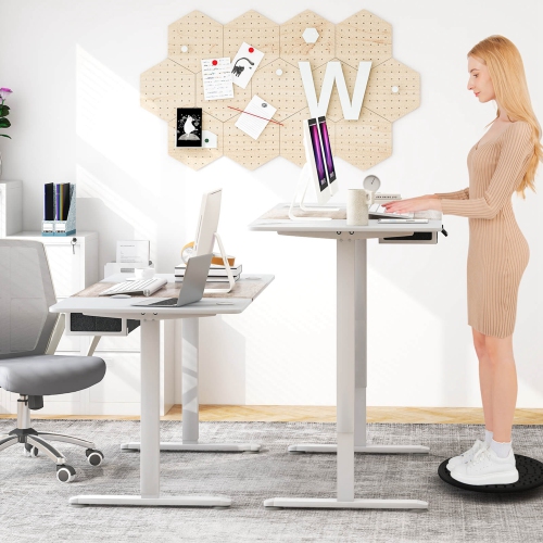 Costway Electric Standing Desk 55" x 28" Height Adjustable Sit Stand with USB Charging Port