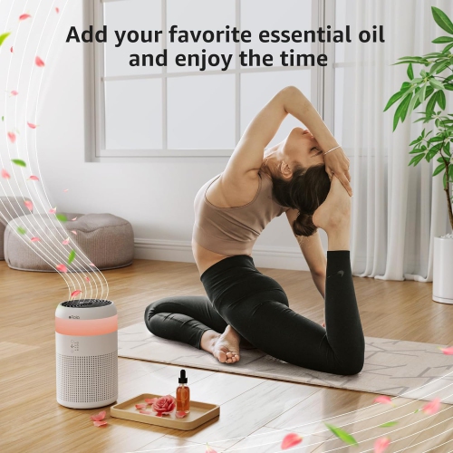 Afloia Small Air Purifier with Fragrance Sponge - White