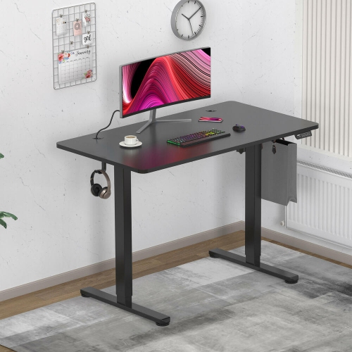 All-in-One Electric Standing Desk, Ergonomic Adjustable Sit Standing Desk Computer Desk with 43 x 24 inch Table Top(Whole-Piece Desktop, 154lbs