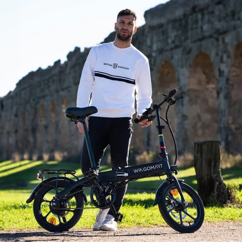 Electric Bike for Adults 16" Battery Range up to 65km with 500W Motor | Folding Electric Bicycle ,Commuter City E-Bike | Cruiser bike w/ 25kmh SPEED