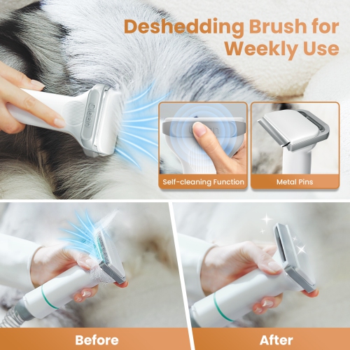 INSE P20 Pet Grooming Vacuum Large Dust Cup Pet Hair Vacuum with Clipper for Dogs 5 Pet Grooming Tools for Shedding Pet Hair