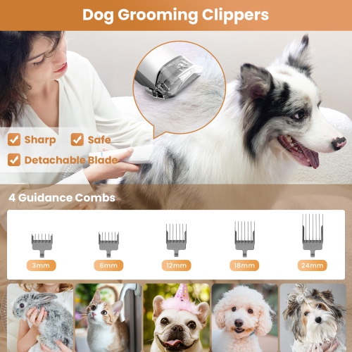 INSE P20 Pet Grooming Vacuum Large Dust Cup Pet Hair Vacuum with Clipper for Dogs 5 Pet Grooming Tools for Shedding Pet Hair
