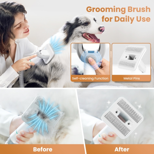 INSE P20 Pet Grooming Vacuum Large Dust Cup Pet Hair Vacuum with Clipper for Dogs 5 Pet Grooming Tools for Shedding Pet Hair