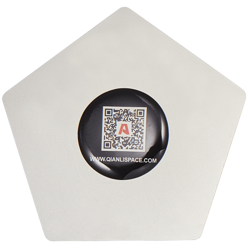 Replacement Stainless Steel Opening Picks Pry Tool (Qianli)