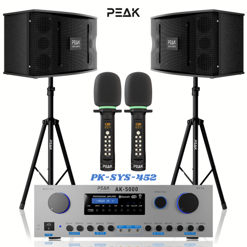 PEAK Karaoke PLATINUM PREMIUM DEFIANCE Wireless STAGE II System -3000W