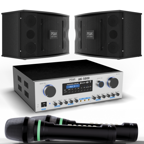 PEAK Karaoke PLATINUM PREMIUM DEFIANCE Wireless STAGE II System -3000W