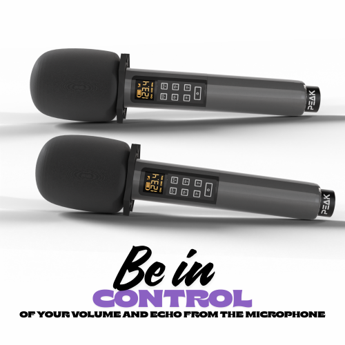 PEAK Karaoke Professional Bluetooth System: Bluetooth Amplifier PK-AMP-200, Two UHF Rechargeable PRO Wireless Microphone with Echo & Volume Control
