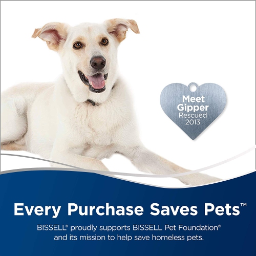 Bissell - Stick Vacuum - Featherweight Blue - Ultra-lightweight and compact - Versatile Lift-Off Hand Vacuum - 2.1 Amp motor