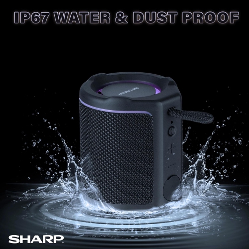 The Sharp Crystal Clear Series Portable Bluetooth Speaker-Black
