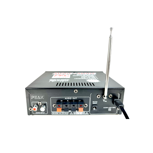 PEAK Karaoke Gold Bluetooth Amplifier: PK-AMP-001