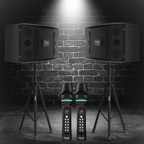 PEAK Karaoke ONYX Premium DEFIANCE STAGE II System - 3000W