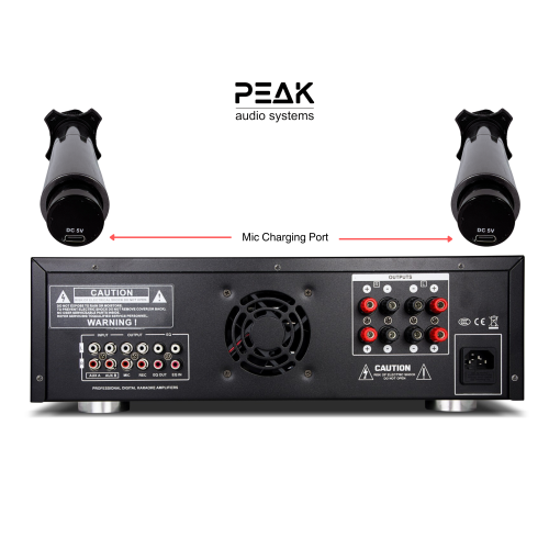 PEAK Karaoke Platinum Bluetooth System Package: Feedback Eliminator, Loudness Feature, Echo, AM/FM (SILVER); Two UHF Platinum Wireless Rechargeable