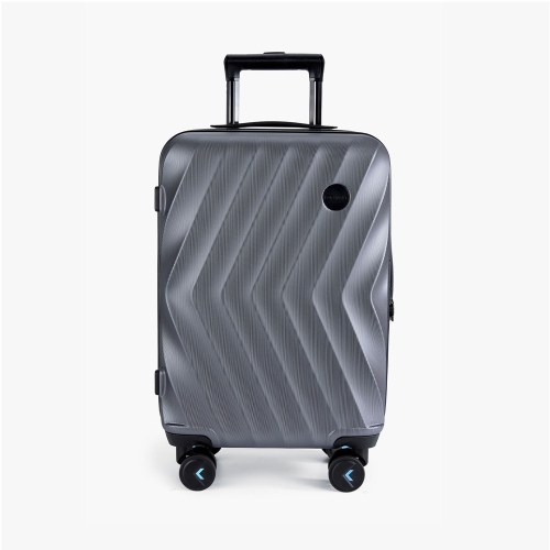 Bagsmart Globetrotter 21" Hardside Rolling Carry-on Stylish Suitcase Gray
