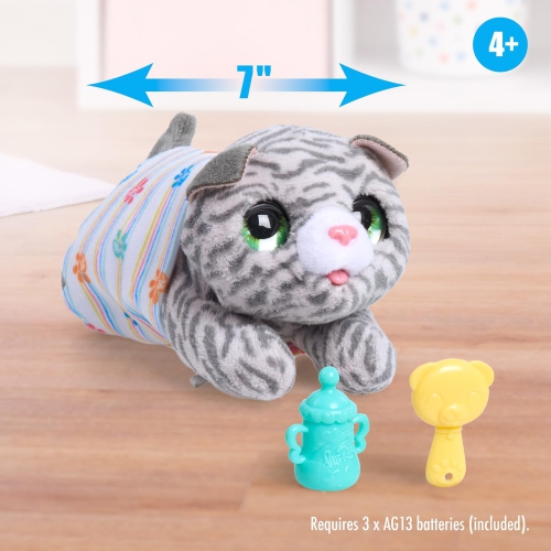 Animal interactif FurReal, nouveau-né Kitty, petit chat en peluche avec sons et mouvements