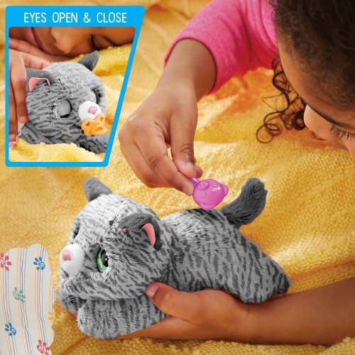 Animal interactif FurReal, nouveau-né Kitty, petit chat en peluche avec sons et mouvements