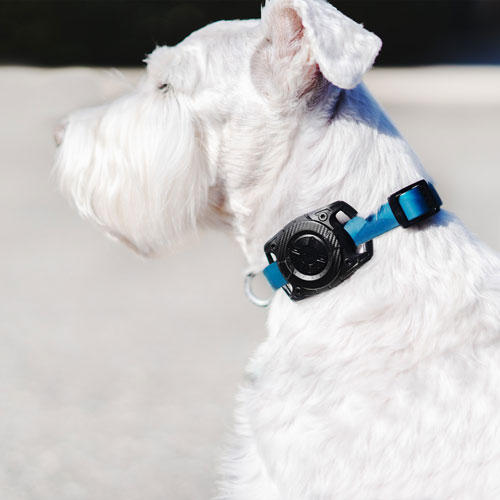 Logiix Pet Collar Case for AirTag - Black