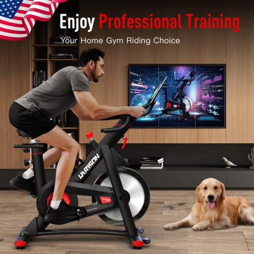 HARISON Magnetic Exercise Bike with Bluetooth, Stationary Bikes for Home with Comfortable Seat Cushion, 350lbs Capacity