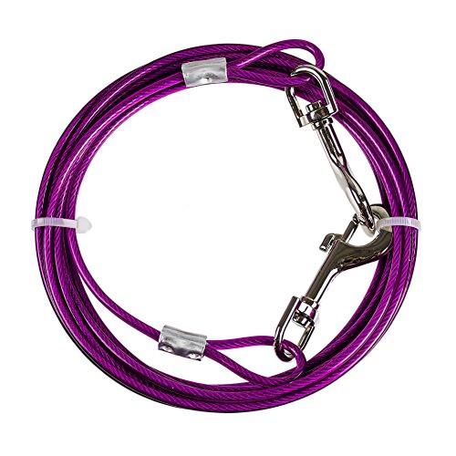 Dog tie up cable best sale