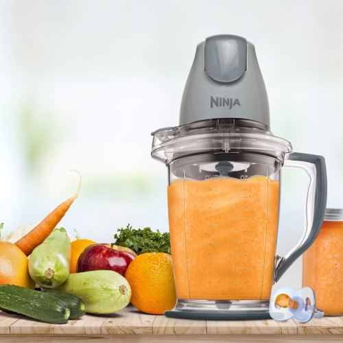 Ninja QB900BC, Master Prep to Crush, Blend, and Chop, Silver, 400W, 48oz