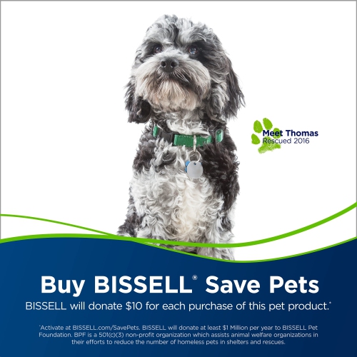 Bissell - Hand Vacuums - PowerClean Pet Cordless - with Motorized Brush, Upholstery Tool and Crevice Tool| 2389D , Green