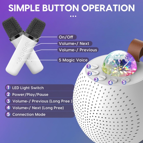 Karaoke Machine for Kids Adults, Bluetooth Karaoke Speaker with 2 Wireless Mics, Dynamic Led Light for Home Party and Birthday Gifts