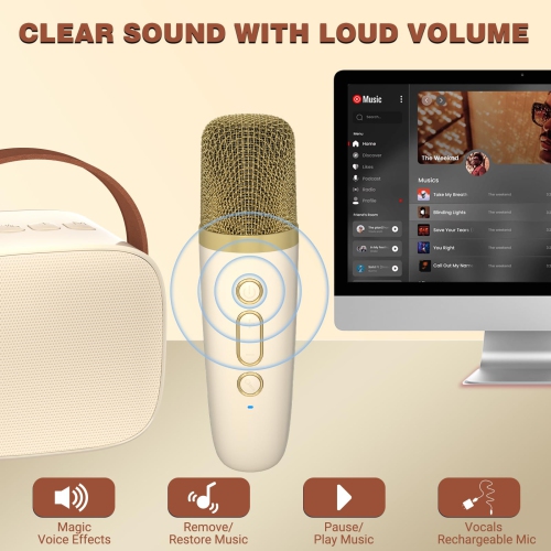 Mini Karaoke Machine for Kids, Portable Bluetooth Speaker with Wireless Microphone, Music Player Toys Gifts for Boys Girls Birthday Christmas Party