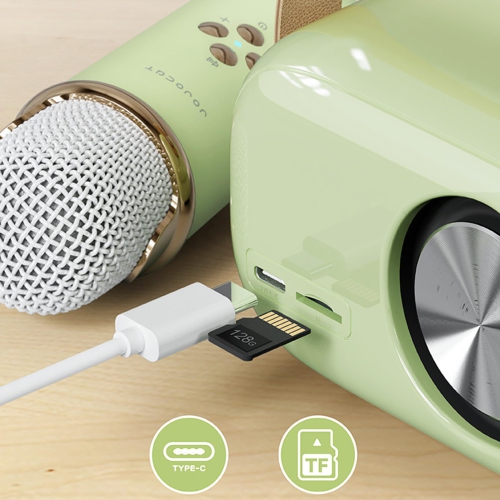 Machine à karaoké, système de sonorisation portatif avec microphone sans fil 2 pour fête à domicile, réunion, mariage, église, pique-nique,