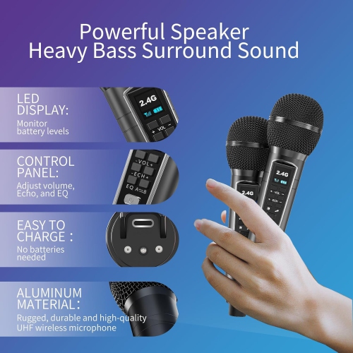 Portable Bluetooth Karaoke Machine with 2 Wireless Microphones, LED Disco Lights, PA Speaker System, USB/SD/AUX, Home Karaoke Set for Adults & Kids,