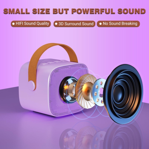 Machine à karaoké miniature avec microphone sans fil 2, haut-parleur Bluetooth portatif pour enfants et adultes, cadeaux pour filles et garçons Fête