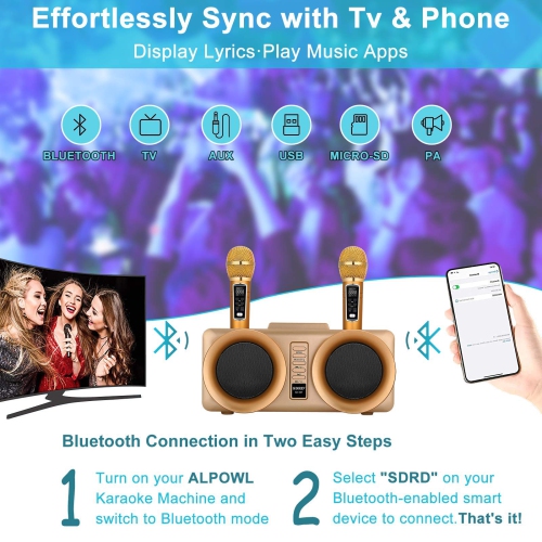 Machine à karaoké, système de sonorisation portatif avec microphone sans fil 2 pour fête à domicile, réunion, mariage, église, pique-nique,