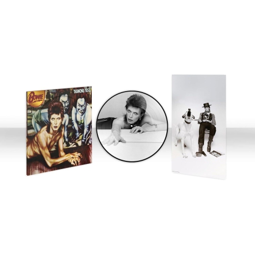 RHINO / PARLOPHONE  David Bowie - Diamond Dogs (50Th Anniversary Picture Disc) [Vinyl Lp]