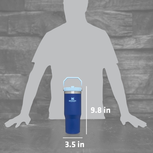 STANLEY IceFlow Stainless Steel Tumbler - Vacuum Insulated Water Bottle for Home, Office or Car Reusable Cup, 30 OZ / ..