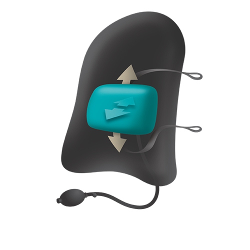 EmbraceAIRPlus Deluxe Backrest with Adjustable Air System (Made in Canada) - Black