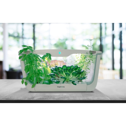 Vegehome Oasis Hydroponic Indoor Garden with 8 Pods Starter Kit
