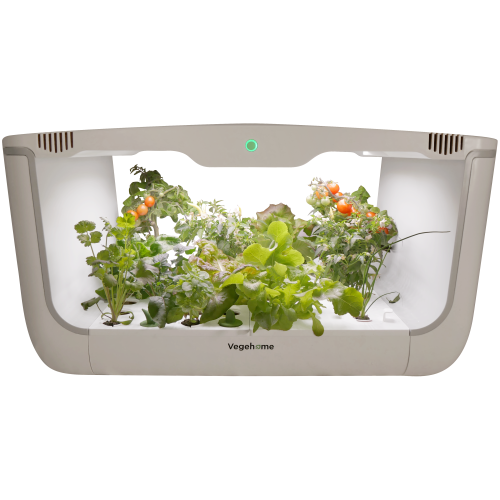 Vegehome Oasis Hydroponic Indoor Garden with 8 Pods Starter Kit